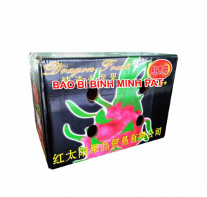 sản xuất thùng đựng trái cây Thanh Long xuất khẩu - hinh 2