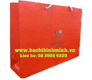 túi xách coach