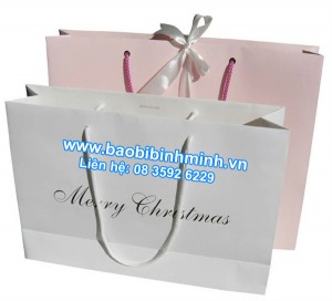 túi giấy bình minh pat