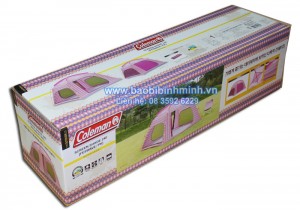 Hộp giấy in offset, Hộp carton 3 lớp in offset