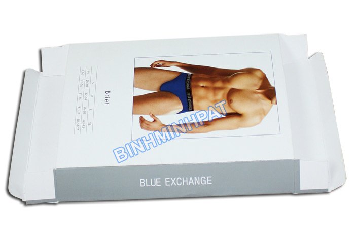 Hộp giấy Blue Exchange