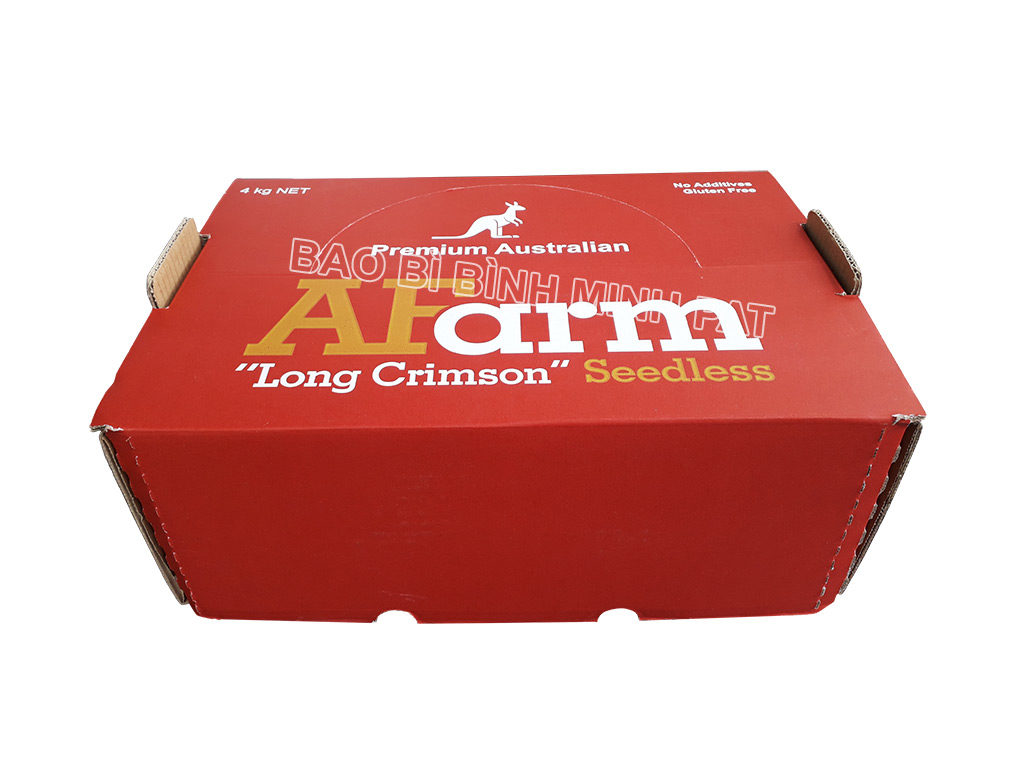 In hộp giấy carton đựng nho tươi xuất khẩu - hinh 3