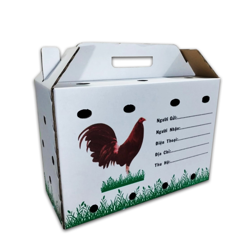 Hộp carton đựng gà đá - w01