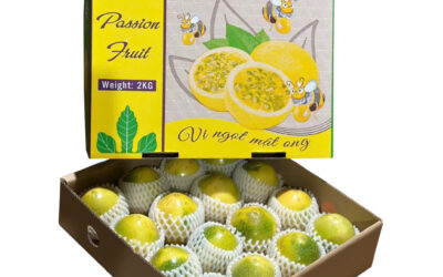Hộp Carton Đựng Chanh Dây – Giải Pháp Bao Bì Bền Đẹp và An Toàn