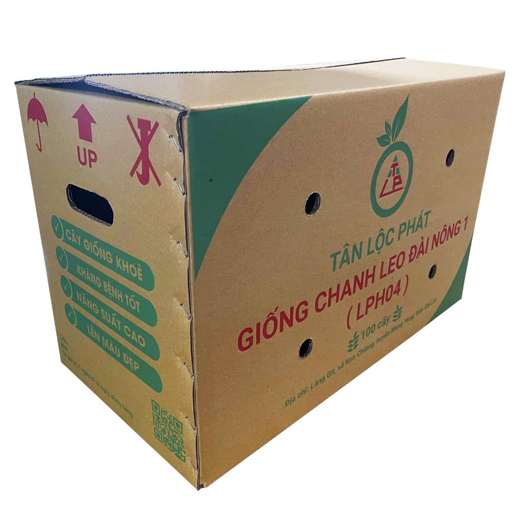 Thùng carton đựng chanh dây - BMP01