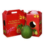 In hộp carton đựng bưởi 2502