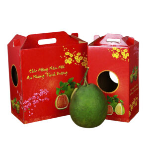 In hộp carton đựng bưởi 2502