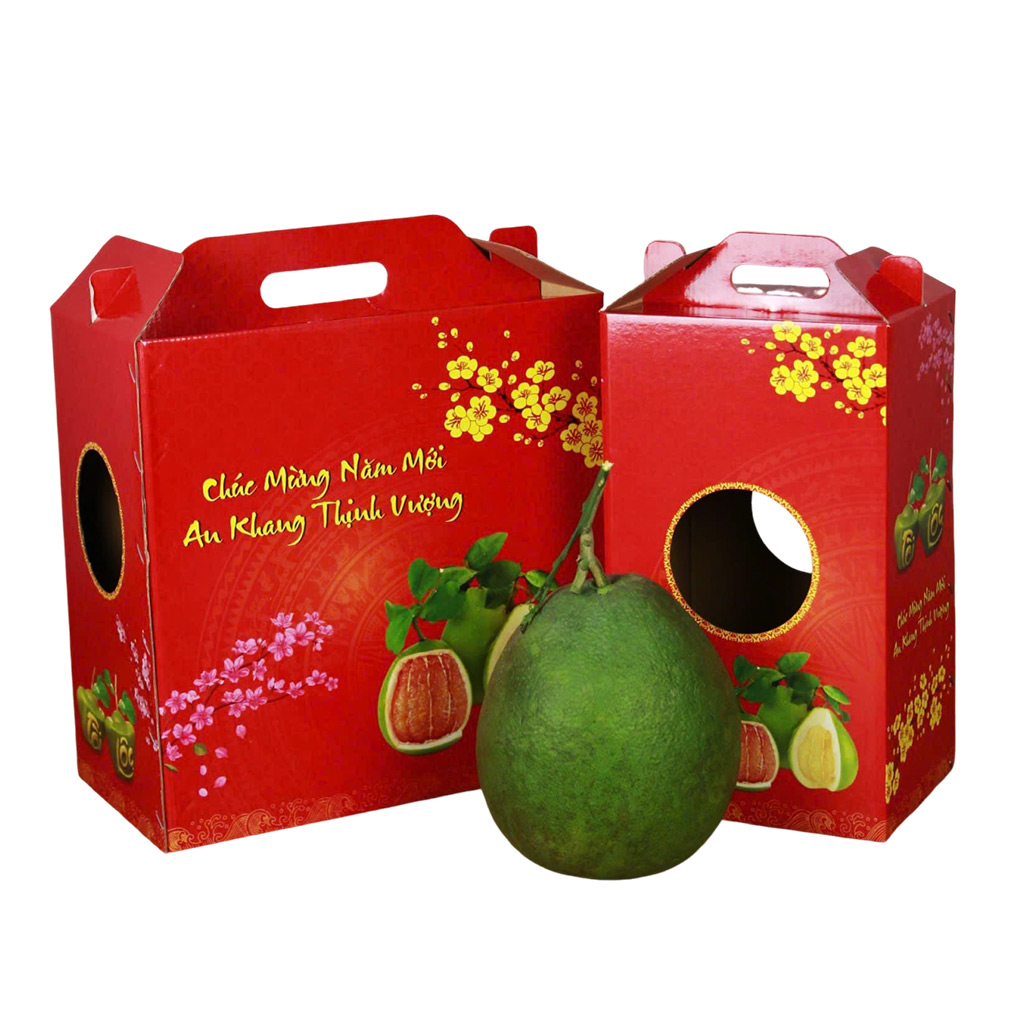 In hộp carton đựng bưởi 2502