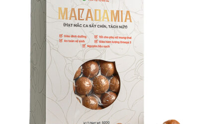 In Hộp Giấy Đựng Hạt Macca – Nâng Tầm Giá Trị Nông Sản Việt