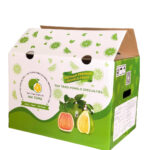 In thùng carton đựng bưởi xuất khẩu - 2506
