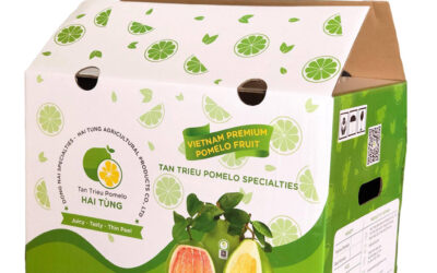 In thùng carton đựng bưởi xuất khẩu – Giải pháp bao bì chuyên nghiệp cho nông sản