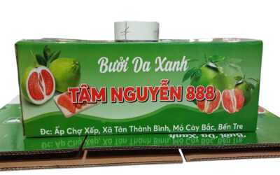 Sản xuất thùng carton đựng bưởi chất lượng cao, giá tốt