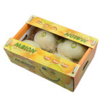 In thùng carton đựng dưa lưới xuất khẩu