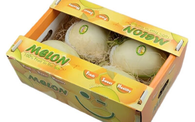 In thùng carton đựng dưa lưới xuất khẩu tùy chỉnh theo yêu cầu